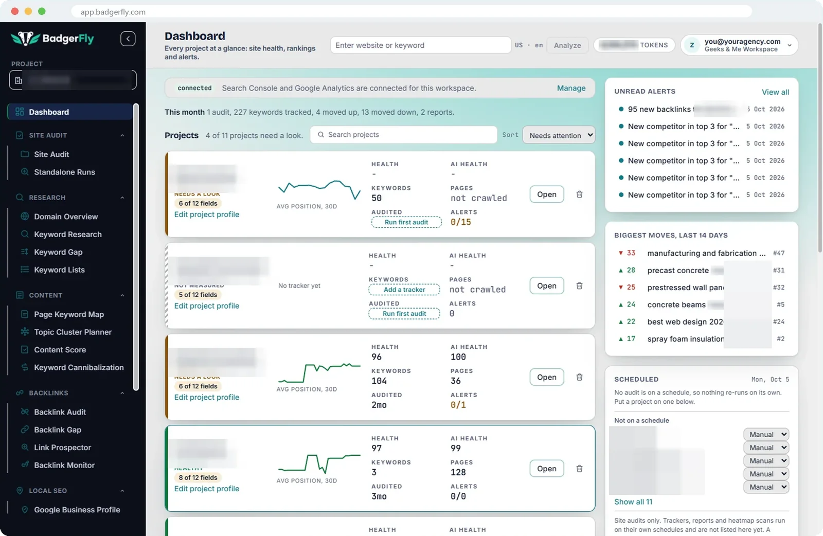 Badgerfly dashboard: a card per project with site health, AI search health, tracked keywords and alerts
