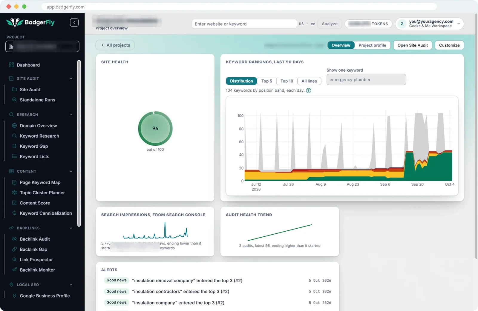 Project Overview: one project's site health, keyword rankings over 90 days, AI visibility and alerts