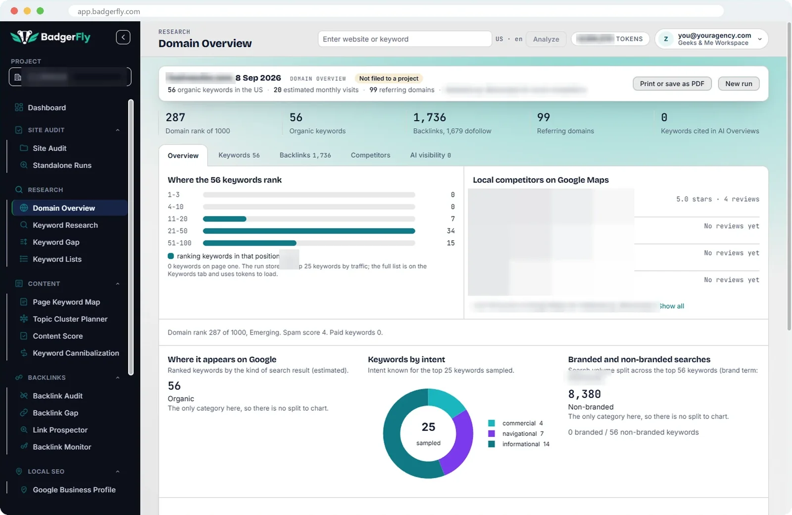 Domain Overview: domain rank, organic keywords, backlinks, referring domains, keyword positions and intent split